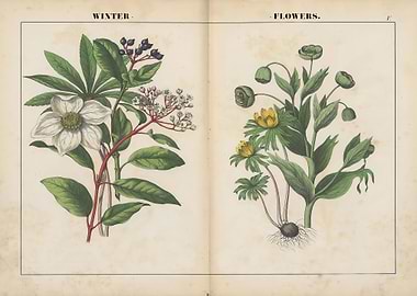 Vegetable art poster