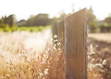 Fence Post