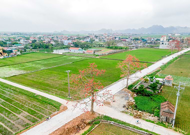 Nice countryside landscape