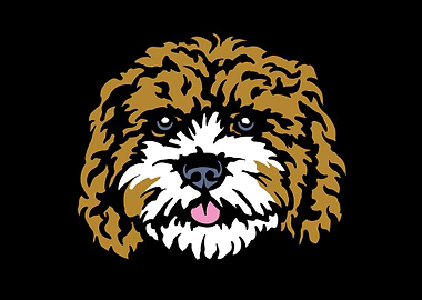 Cockapoo Cockapoo Owner