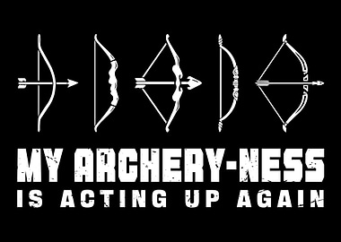 Archery Archer Bowman