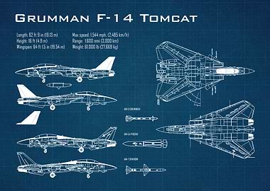 F14 Tomcat aircraft