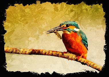 Kingfisher