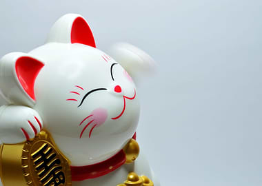 Japanese lucky coin Cat