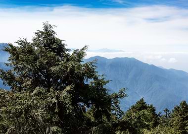 Taiwan Alpine Scenery