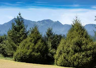 Taiwan Alpine Scenery