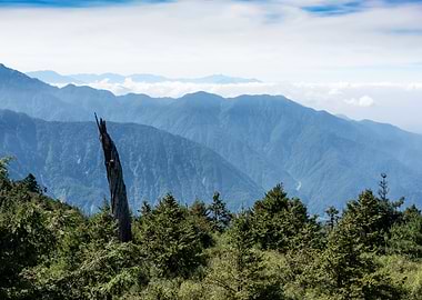 Taiwan Alpine Scenery