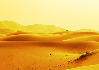 Desert Sand Dunes