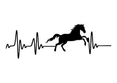 Force To Ride Born To Hors