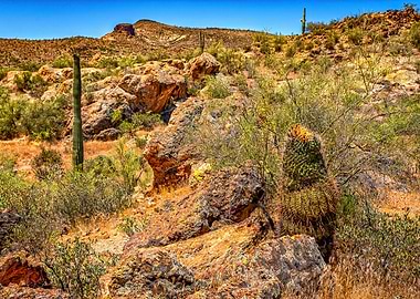 Apache Trail Scenic Drive