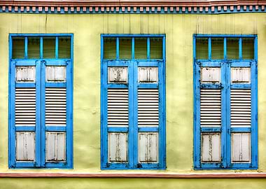 The Singapore Shophouse
