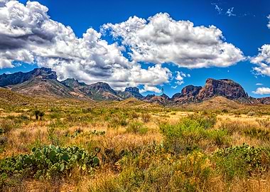 Big Bend National Park
