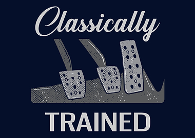 Funny Manual Transmission