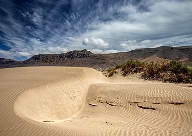 Sand dunes by the beach