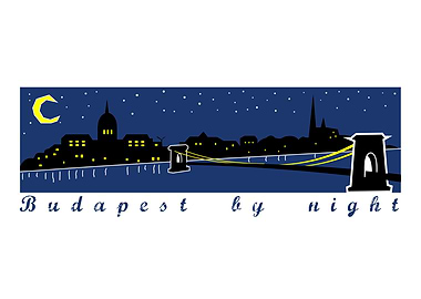 Budapest By Night Skyline