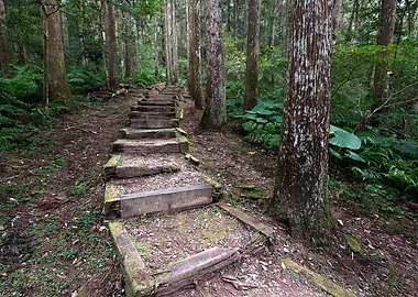 Ecological Step Walk