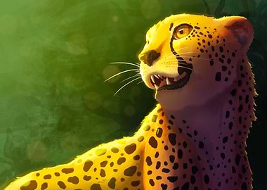 Cheetah in a sunny day