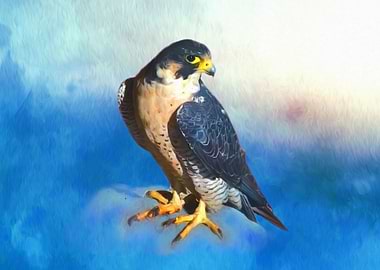 Falcon