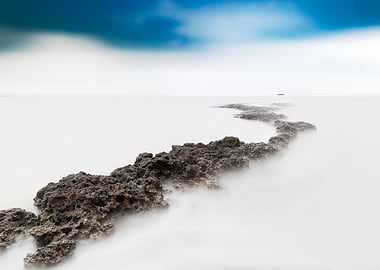Algae Reef Landscape