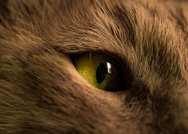 Kramer Always Watches