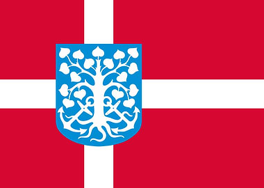 esbjerg city flag