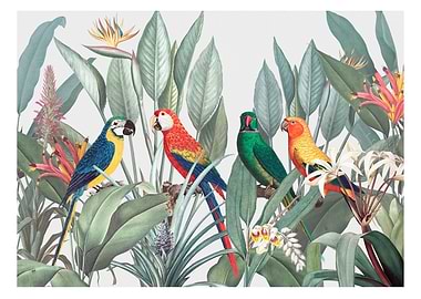 Colorful macaws tropical