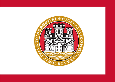 Bergen city flag