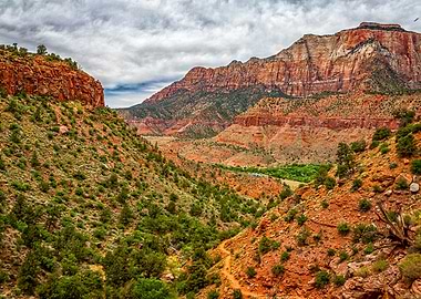 Watchman Trail in Zion