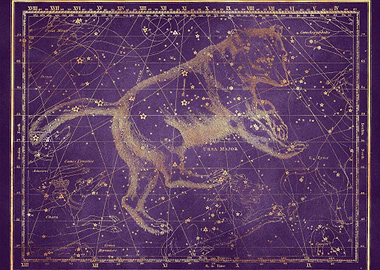 Purple Gold Star Map 06