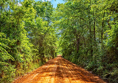 Southern Dirt Road