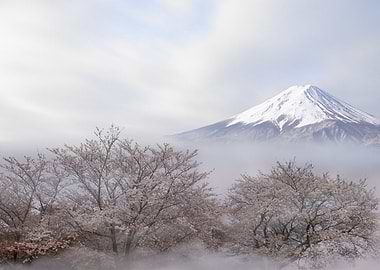 Mount Fuji in spring
