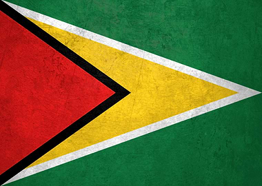 Flag of Guyana on Wall