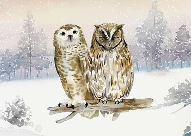 Owl Birds in Winter Snow