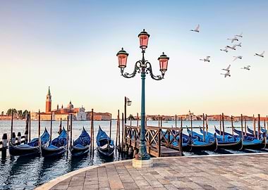 Bird flight in Venice