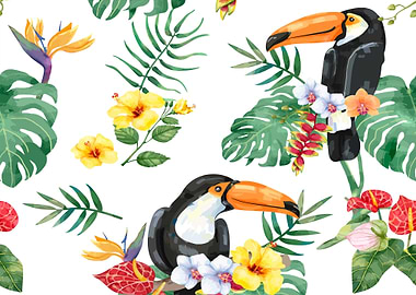Toucan bird