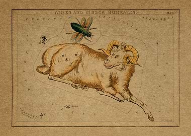 Aries and Musca Borealis