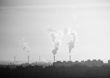 white and black city