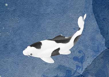 Koi black and white
