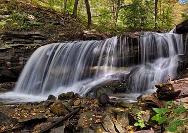 Waterfall in Forest Nature