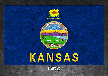 Kansas State Flag