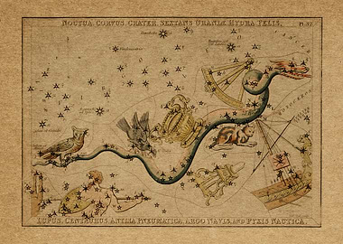 Noctua Corvus Crater