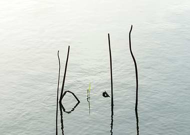 Beautiful remnants of lotu