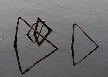 Beautiful remnants of lotu