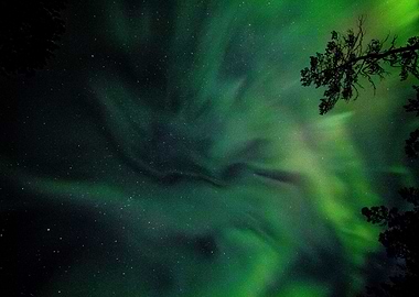 Aurora Northern Light