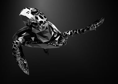 nursery animal tortoise