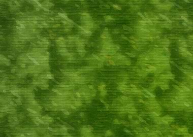Abstract Greenary
