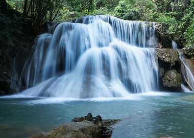 Waterfall in the Forest