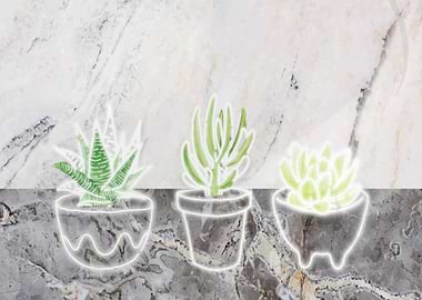 Cacti Neon