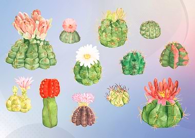 Cacti