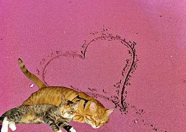 Two Cats And A Heart